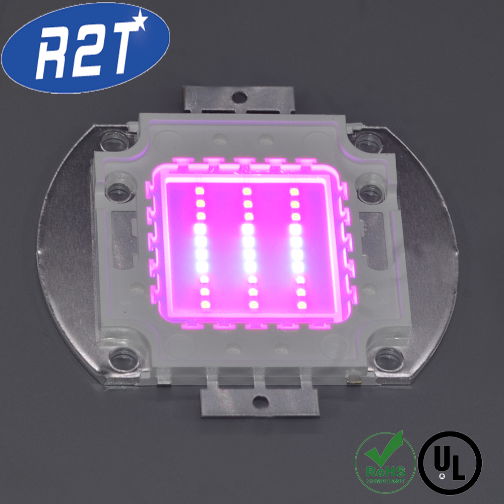 30W Grow LED Chip