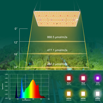 Spectrum for Planting 4