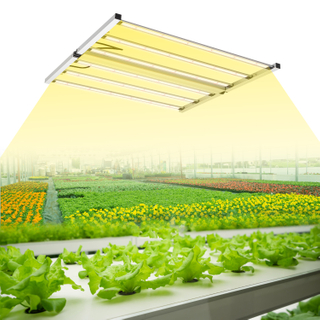 Neo-650W-A1 LED Grow Light.jpg