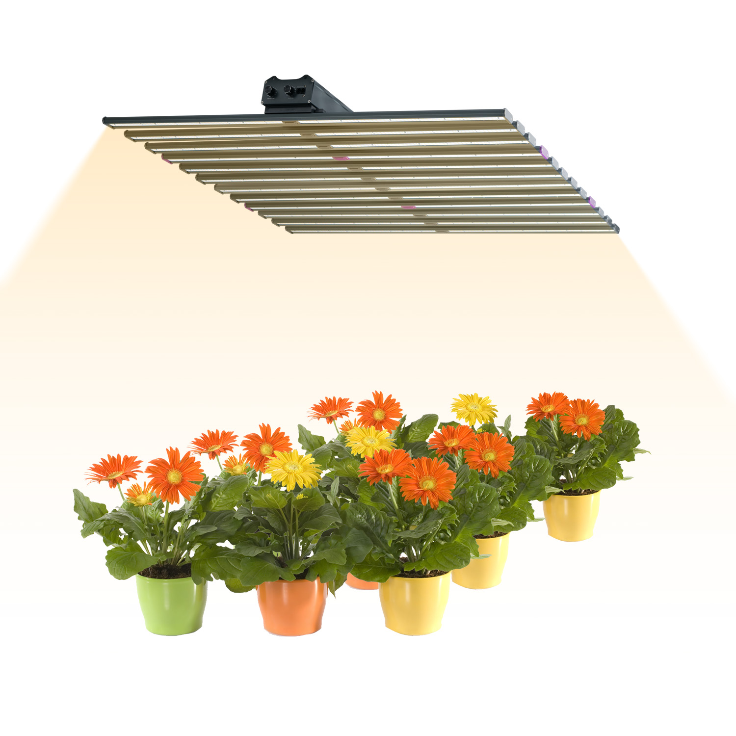NEO-1200W-12A2 LED Lite10