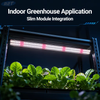 60W Full-Spectrum LED Grow Light Module with Samsung LM301H + Osram 660nm