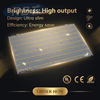 High-Efficiency Custom LED Engine | 179x280mm Samsung 561C Aluminum PCB -R2T industry(H.K) Ltd